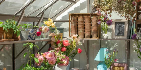An assortment of decorative items on integral staging within a greenhouse