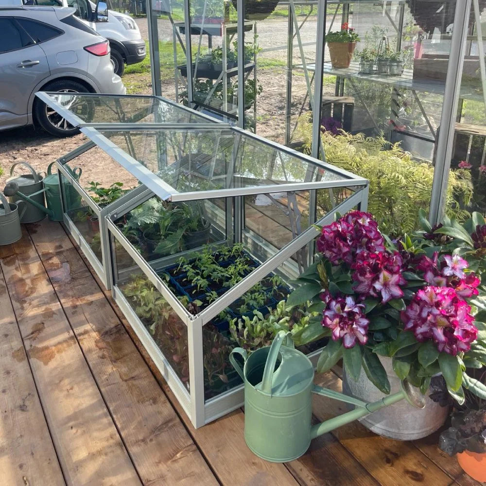 Silver Sage Cold Frame