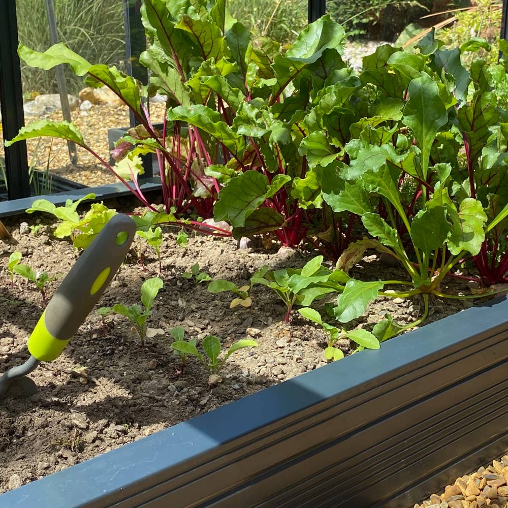 Close up of Rhino raised bed